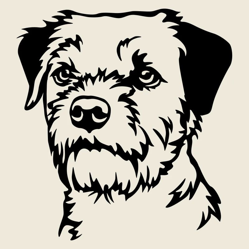 Border Terrier Head