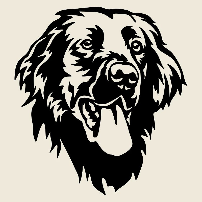 Flat-coated Retriever Head