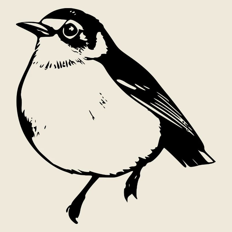 Vogel schwarz schwarzer Vogel