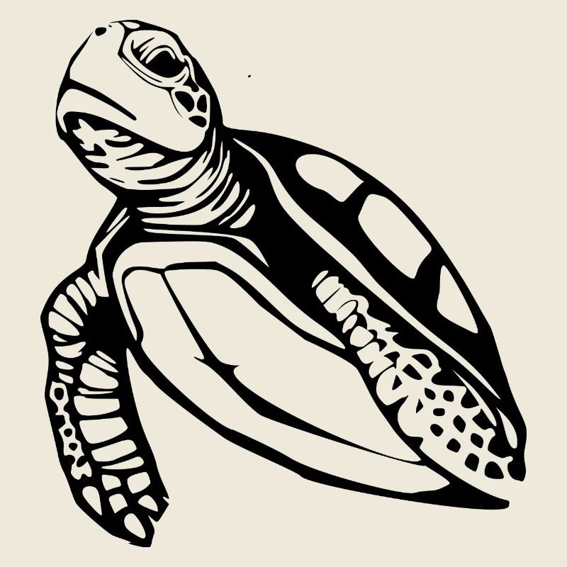 Turtle Turtles