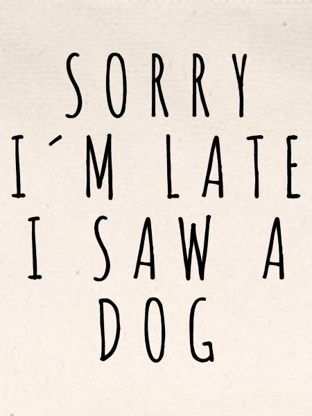 Hund Spruch