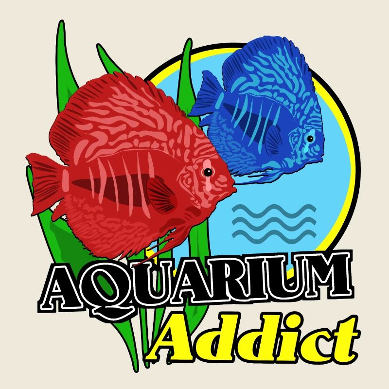 Aquarium Addict: Colorful Fish
