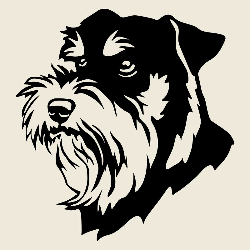 Schnauzer head