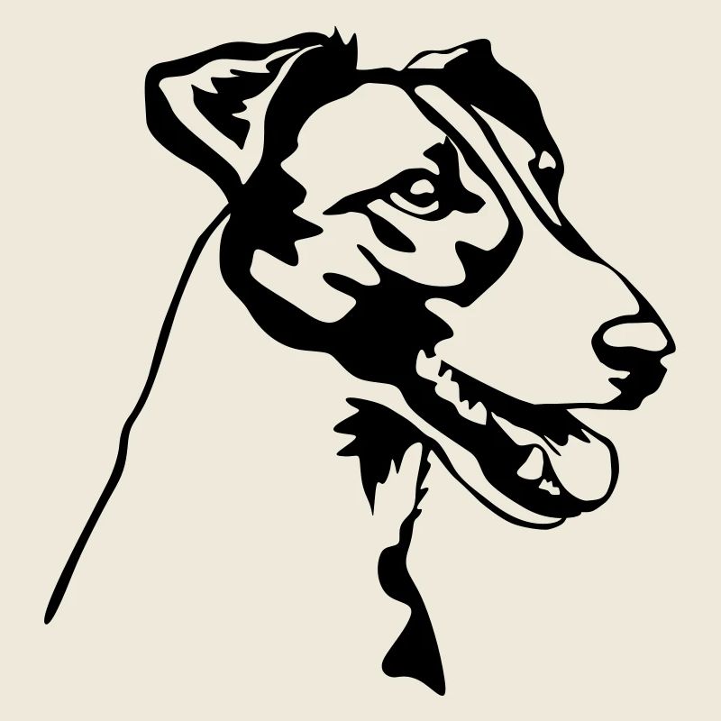 Foxterrier Kopf