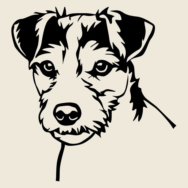 Parson Russell Terrier Kopf