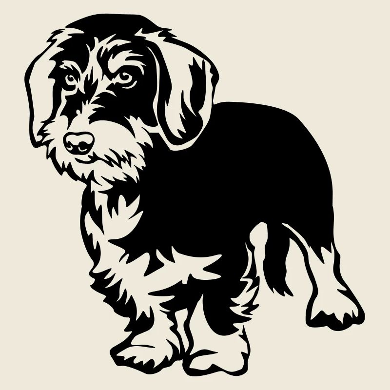 Dachshund