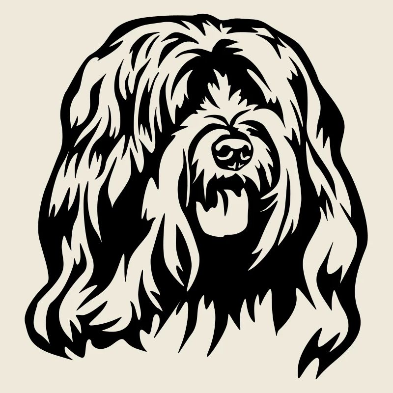 Tibet Terrier Kopf