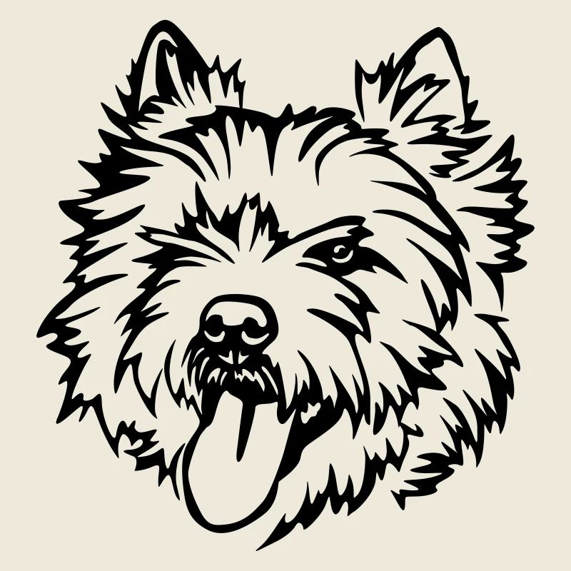 Cairn Terrier Kopf