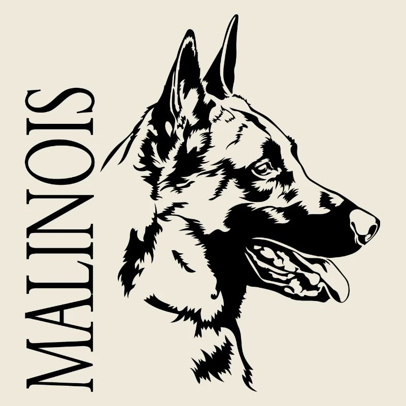 Malinois Portrait Chien Chiens Wilsigns