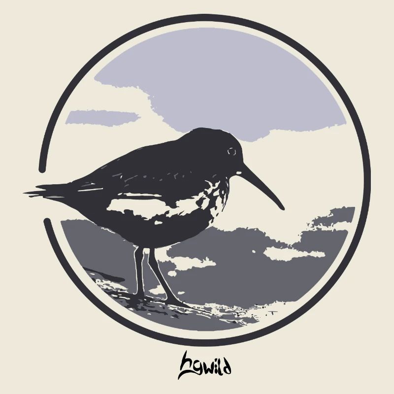 HGWILD - Bécasseau variable