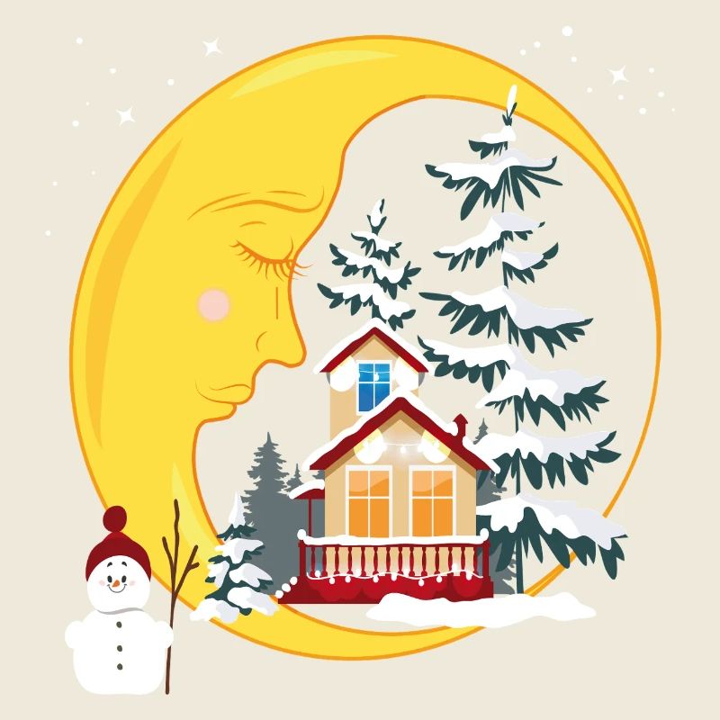 Moon in the winter forest