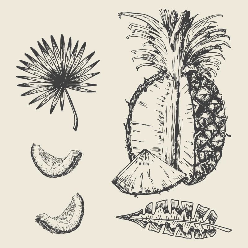  Ananas