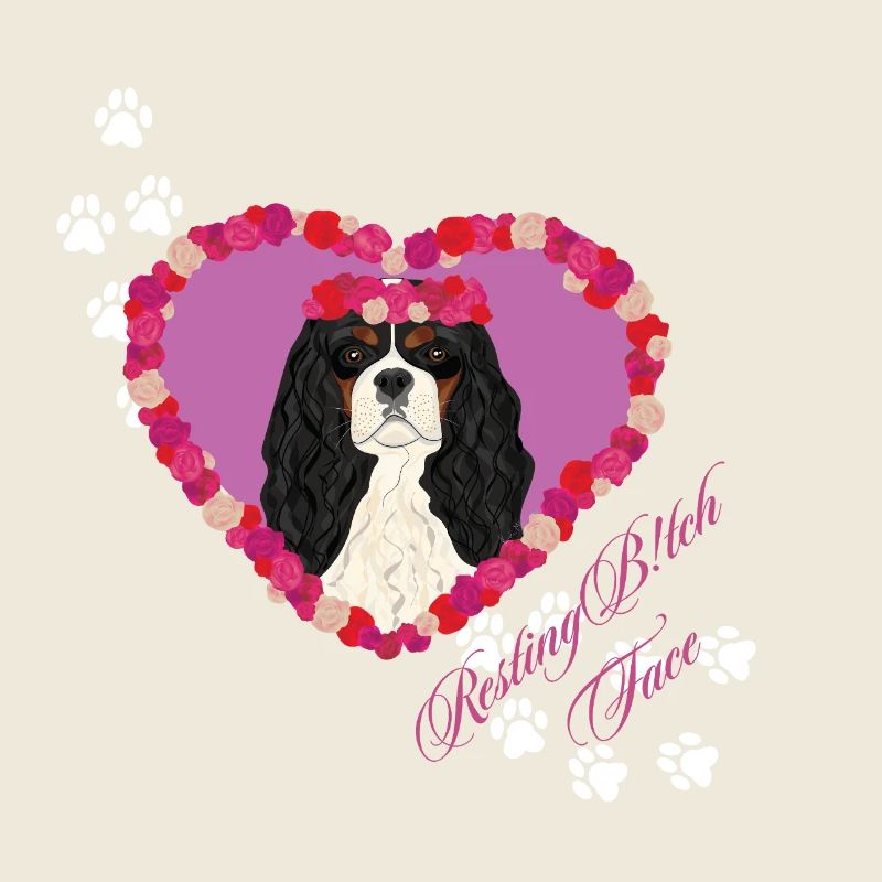 Ruhende B!tch Face Cavalier King