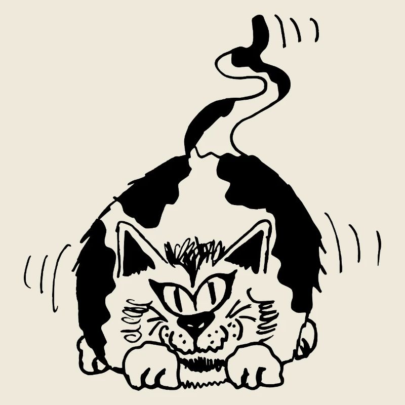 chat drôle tacheté noir et blanc