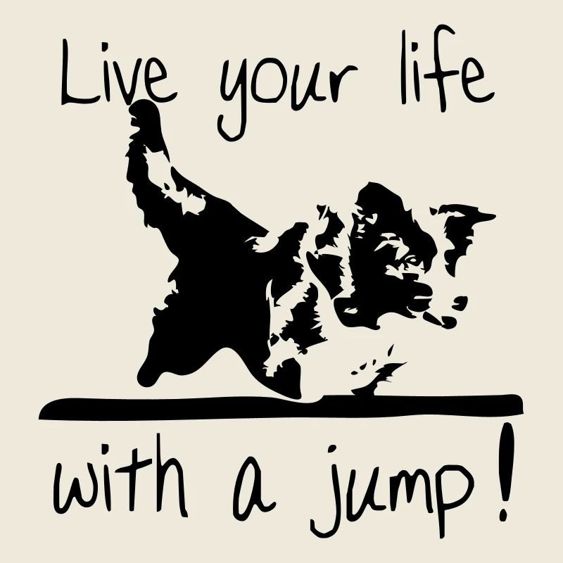 Border Collie - Agility