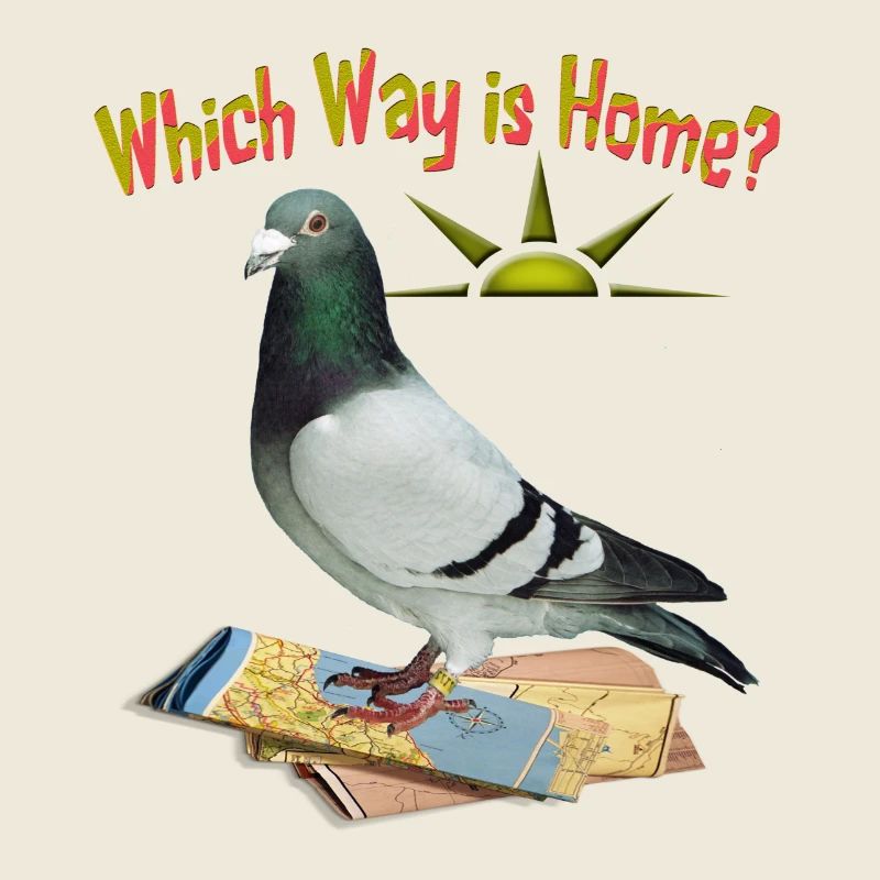 Which Way is Home
