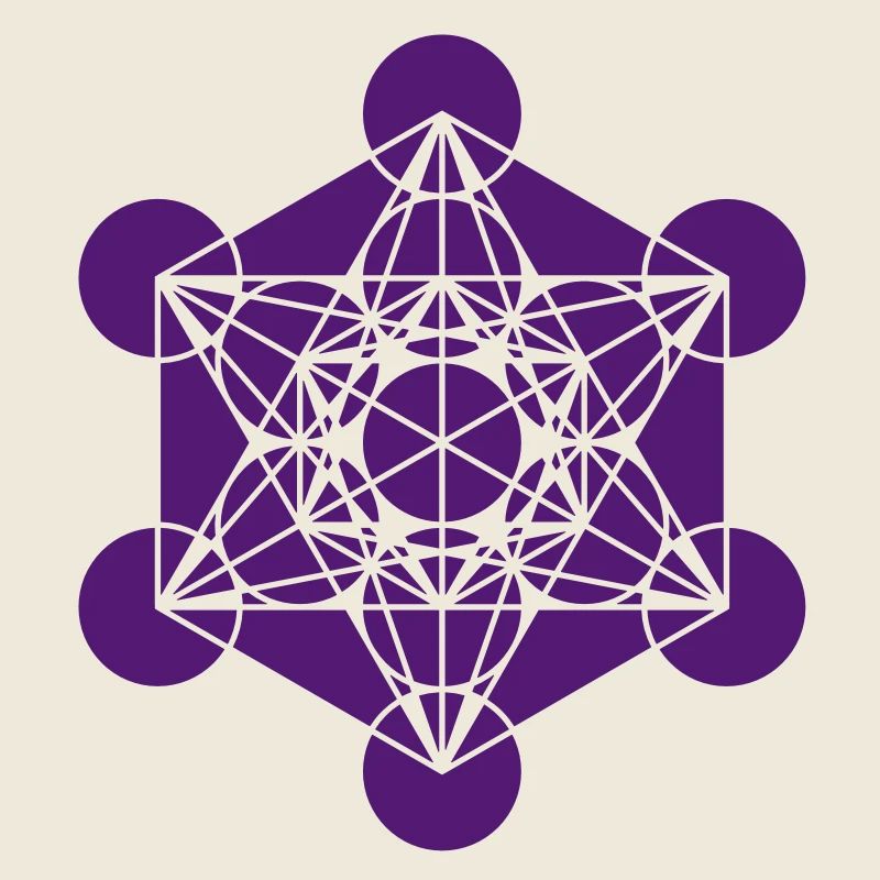 Metatrons Cube - Vector - Platonic Solids /