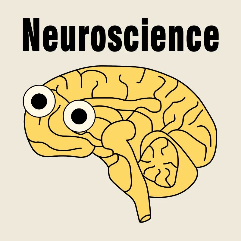 Neuroscience Brain