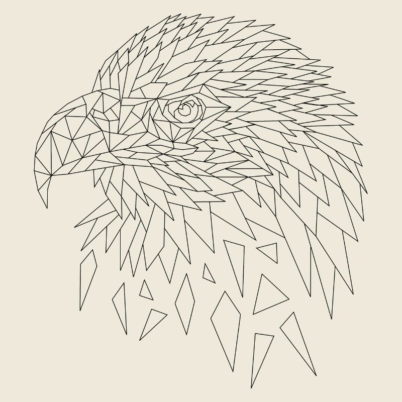 Sea eagle eagle polygons