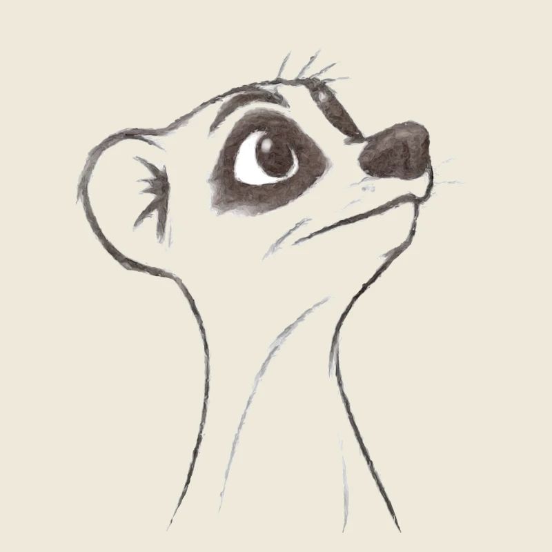 fragendes Erdmännchen