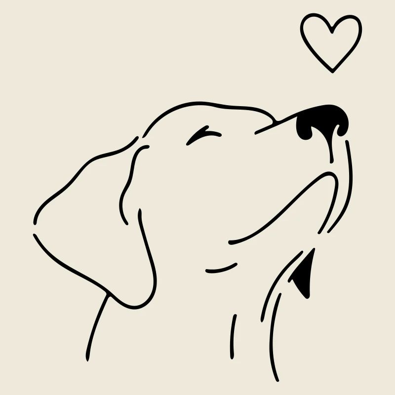 chien