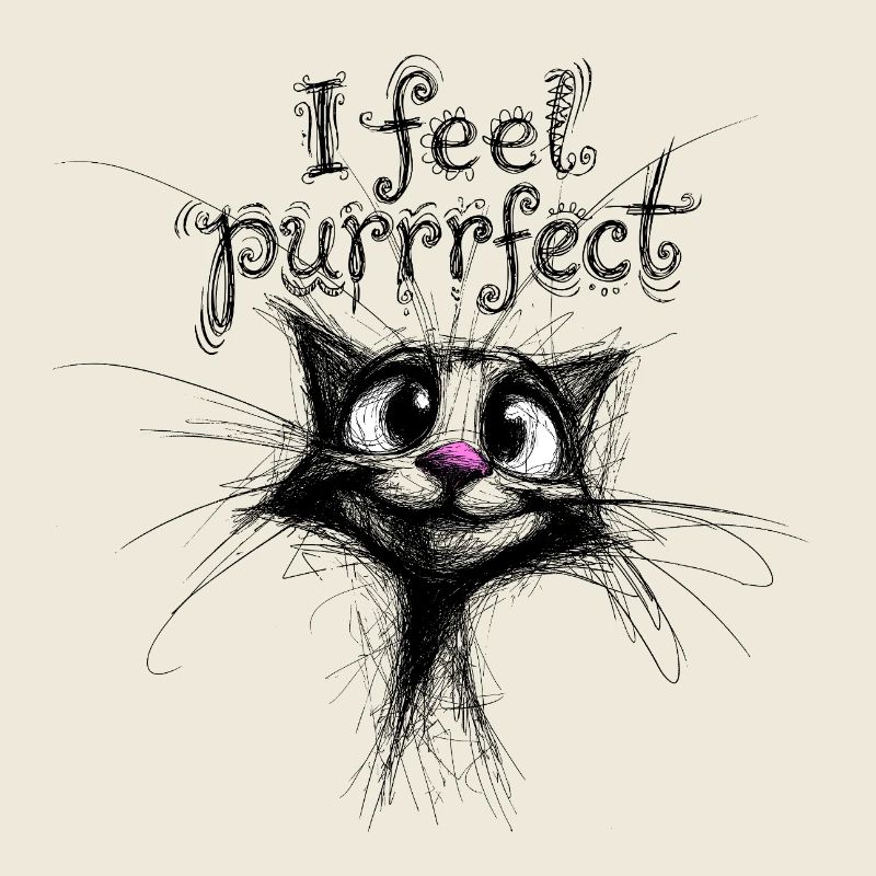 Je me sens parfaite – chat mignon