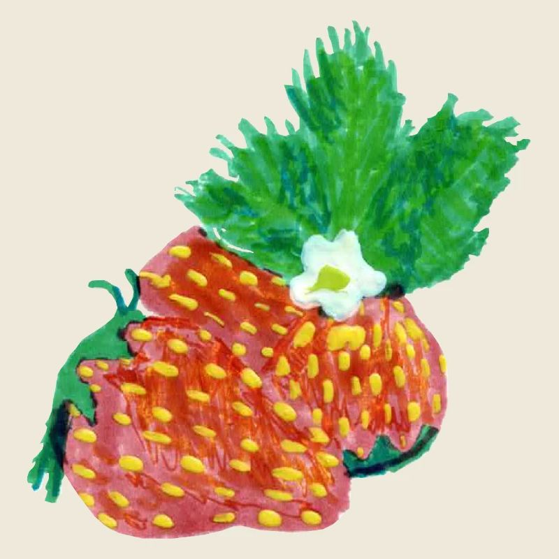 Erdbeeren Art