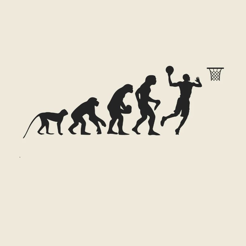 Evolution Basketball