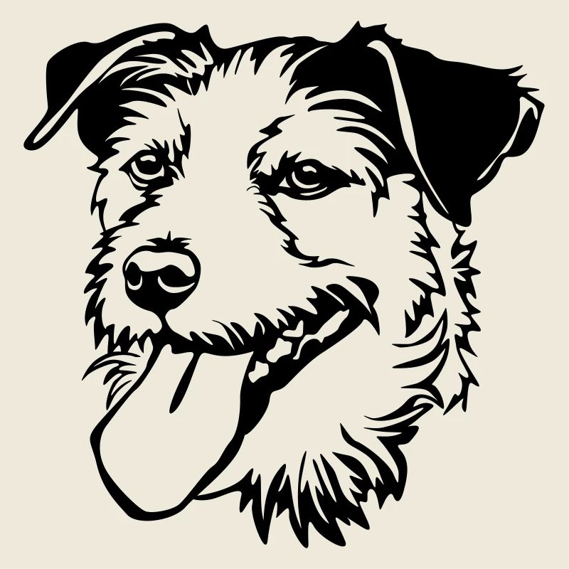 Parson Russel Terrier Kopf