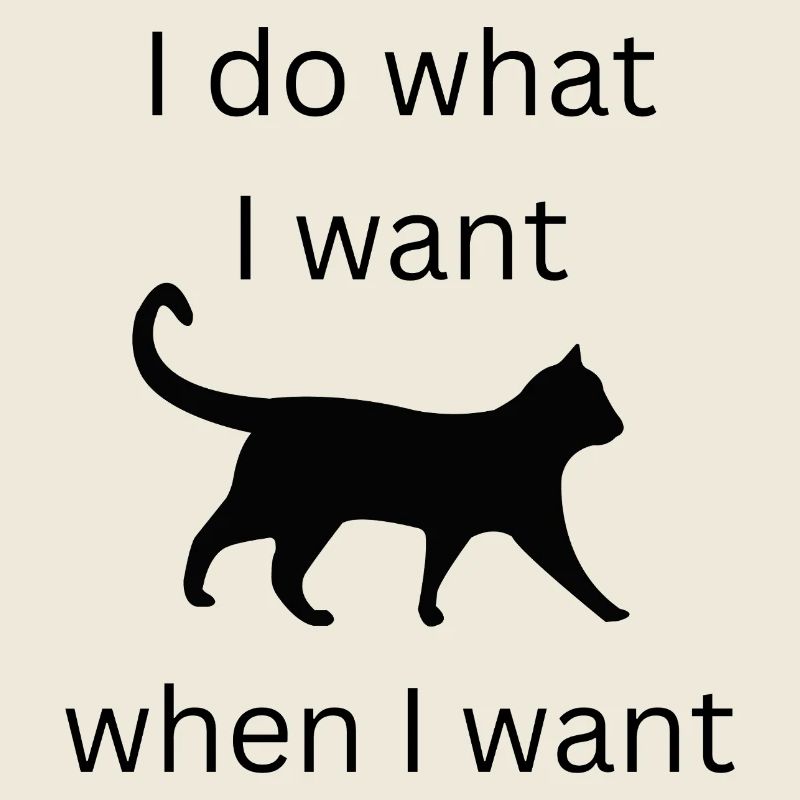 lustiger Katzenspruch