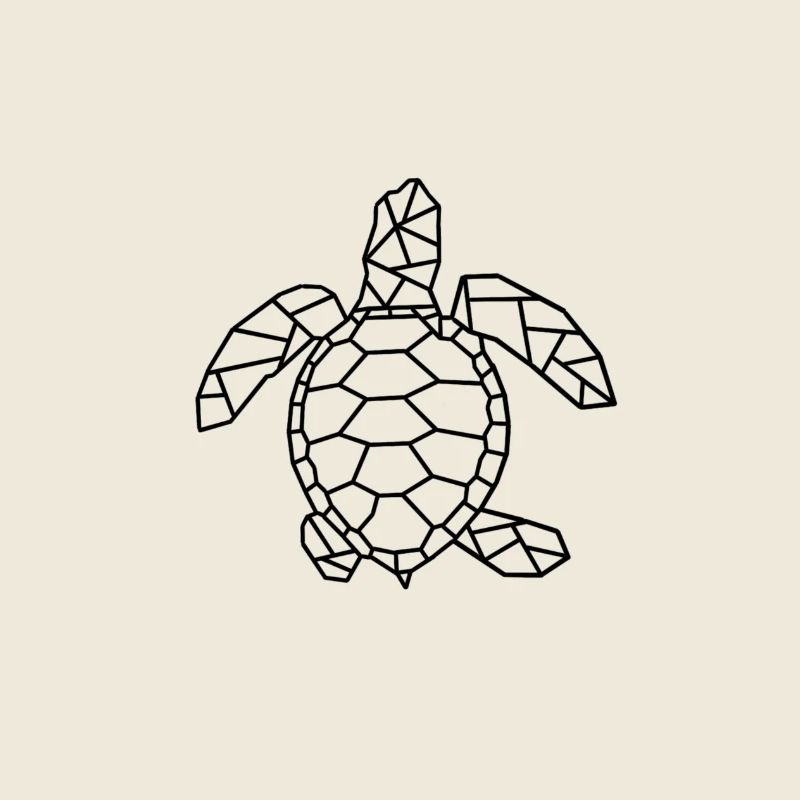 Turtle gift idea