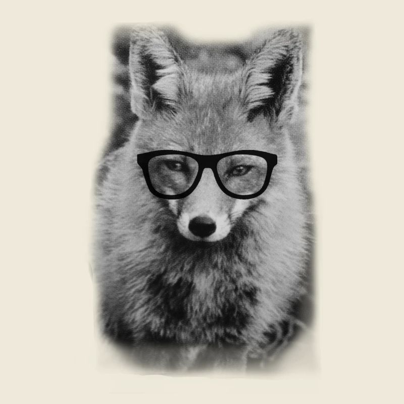 Nerd Fox
