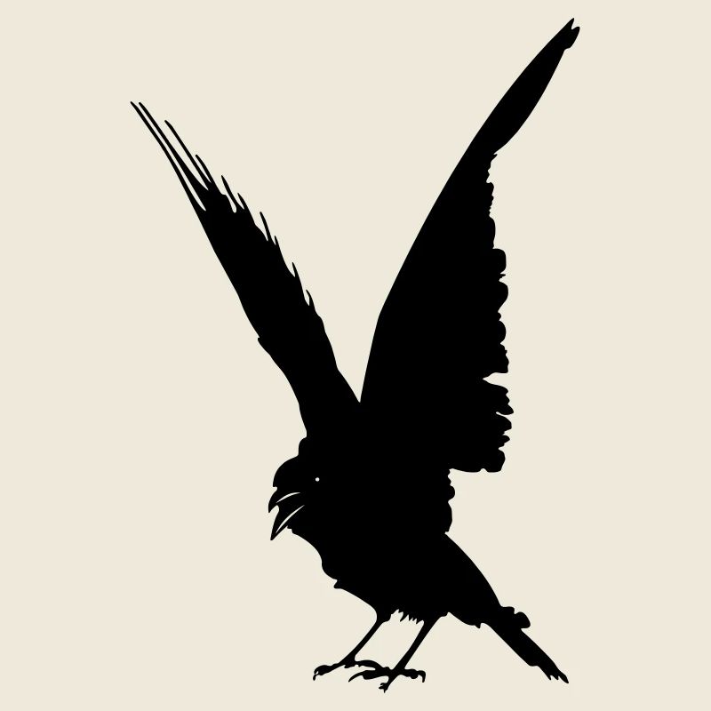 Schwarze Vogelkrähe oder Rabenschattenfigur
