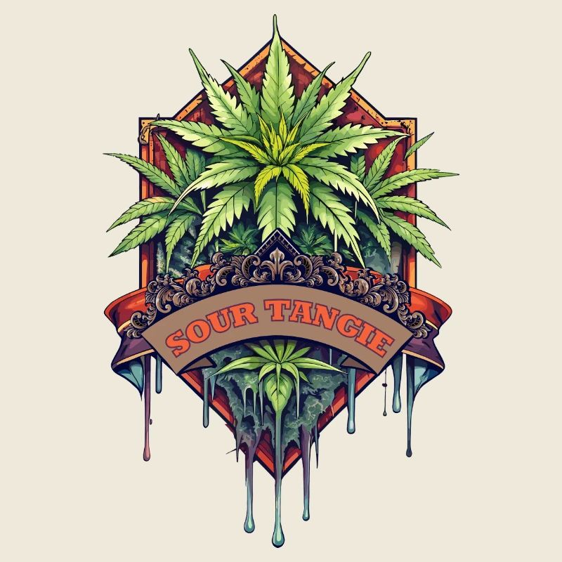 Sour Tangie
