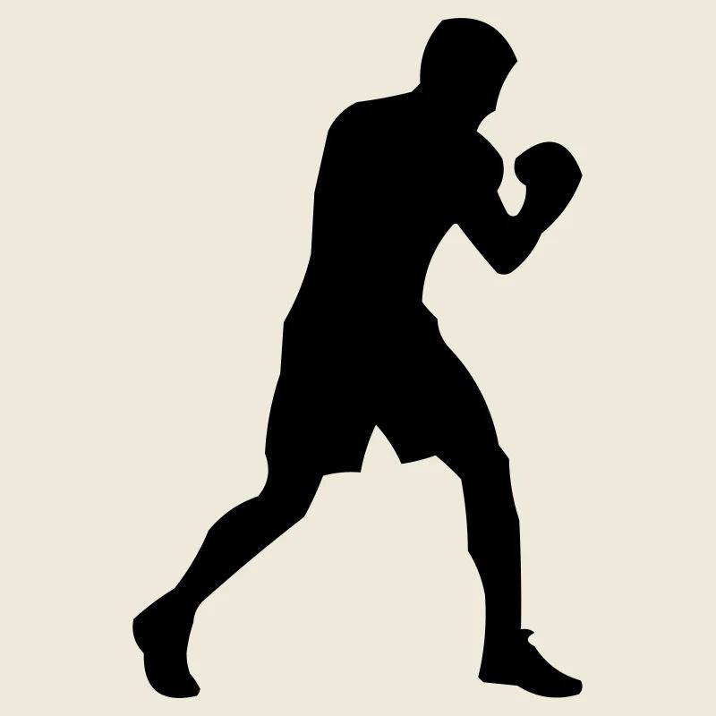 Boxer
