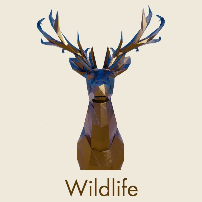 Faune géométrique des cerfs
