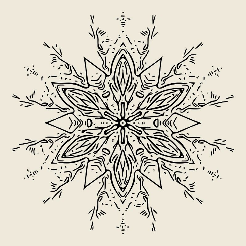 Mandala Flower Pattern Lines Abstract Form