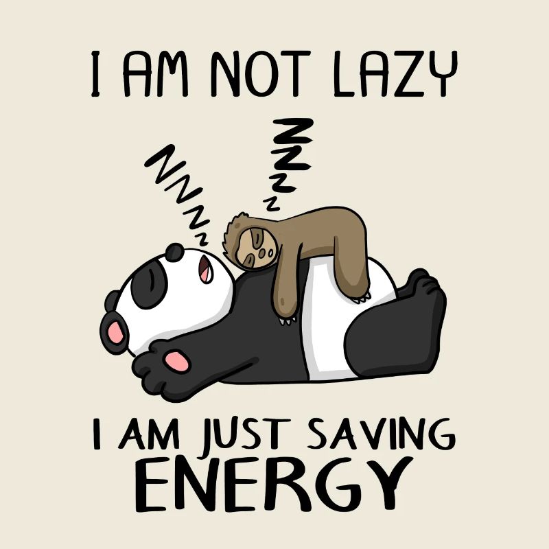 Funny Sloth Panda Saying Funny Gift