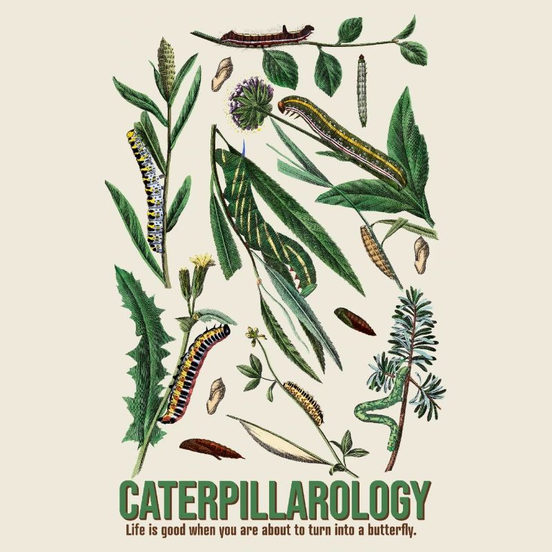 Caterpillarology Nature Study
