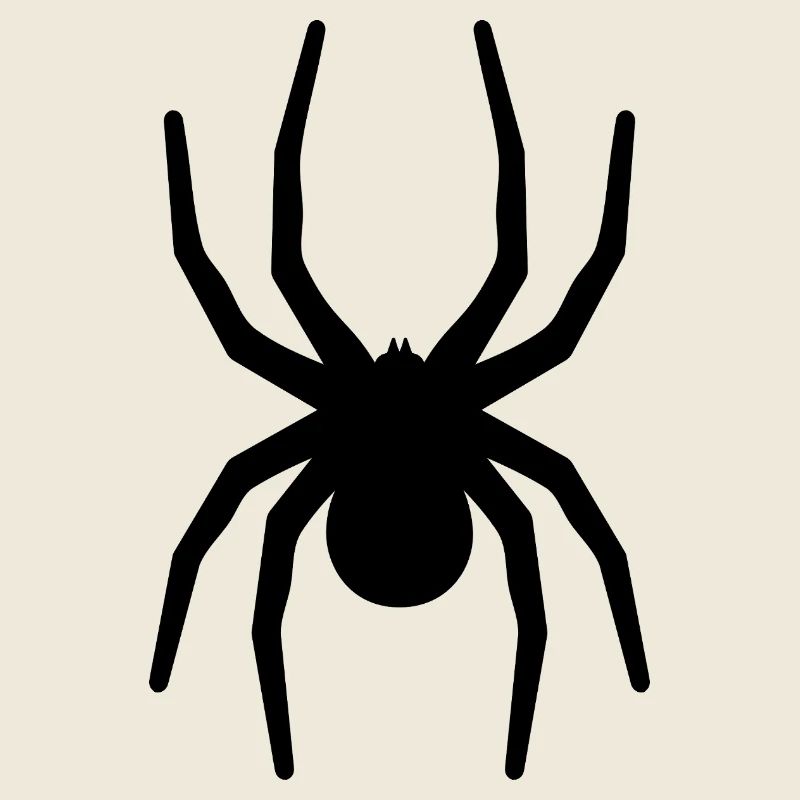 Big Black Spider