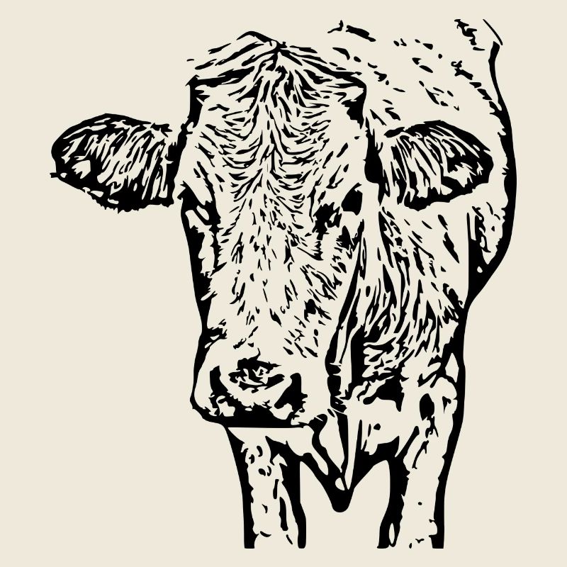 Cow Black Cow Head Gift Farmer