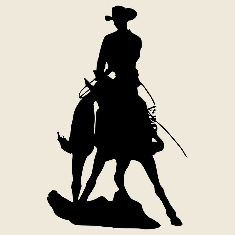 Westernpferd im Spin