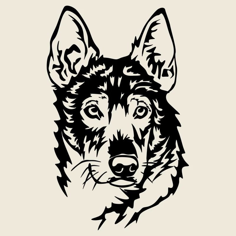 Alaskan Husky tête
