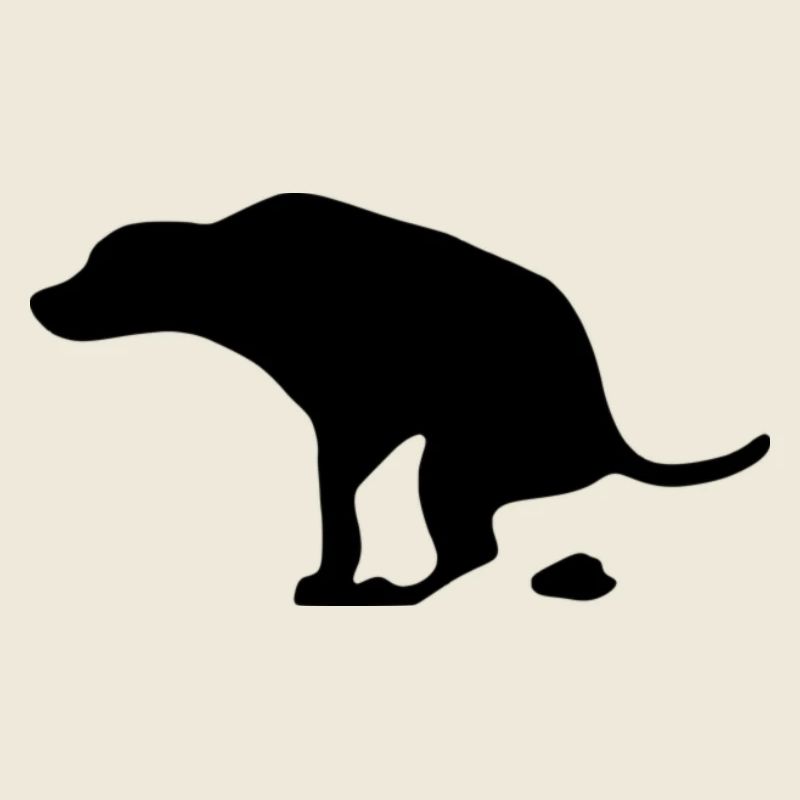 C’est un chien qui chie