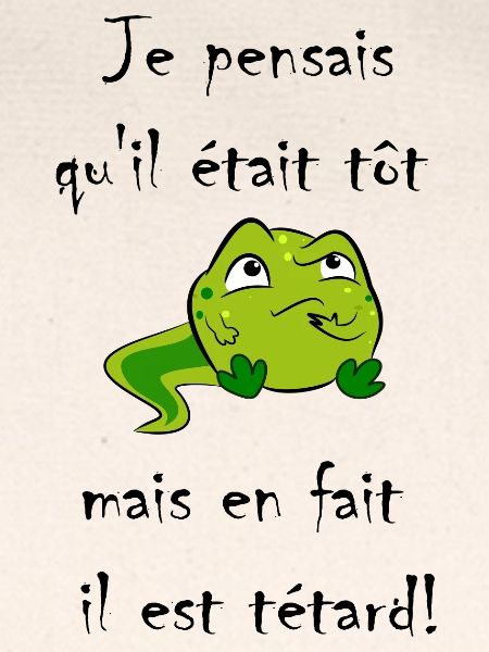 Kaulquappe