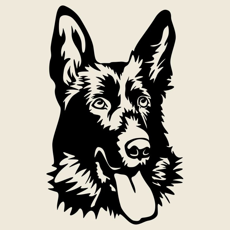Deutscher Schäferhund Kopf
