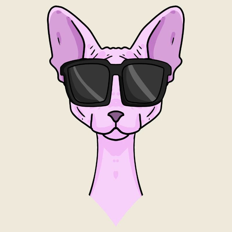 Chat Sphynx avec lunettes de soleil