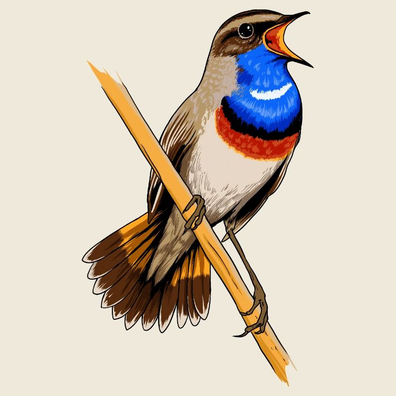 Bluethroat