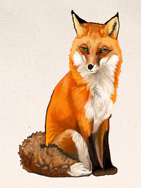 Fuchs