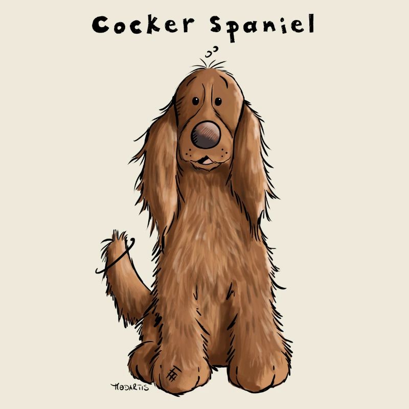 Der Cocker Spaniel